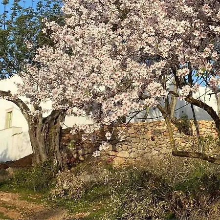 Eco-villa Monte Do Barrocalinho Willa Loulé