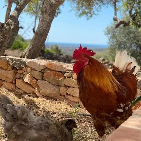 Willa Eco-villa Monte Do Barrocalinho Loulé