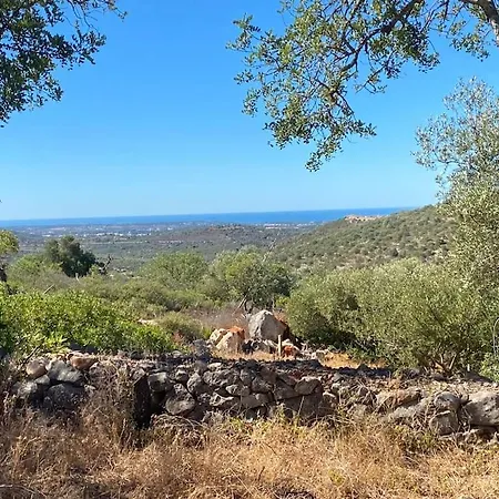 Eco-villa Monte Do Barrocalinho Willa Loulé