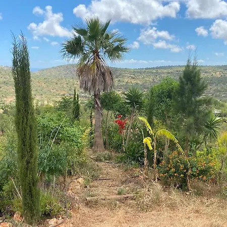 别墅 Eco-villa Monte Do Barrocalinho *