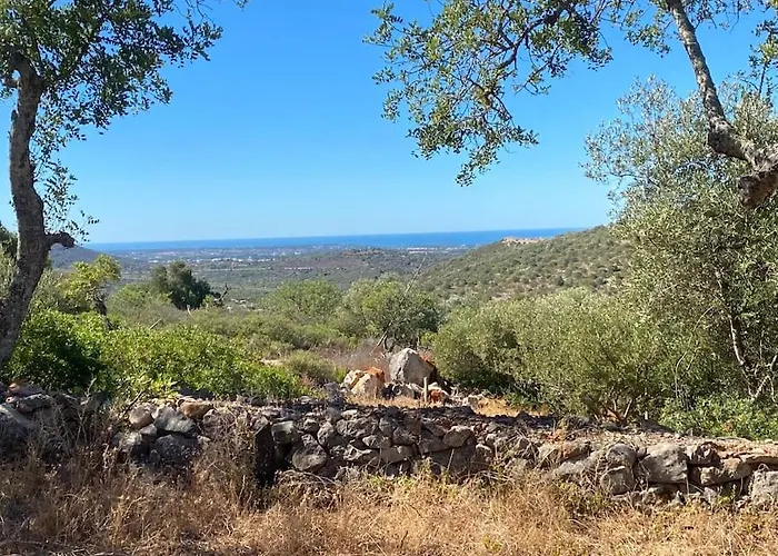 Eco-villa Monte Do Barrocalinho 别墅 楼尔