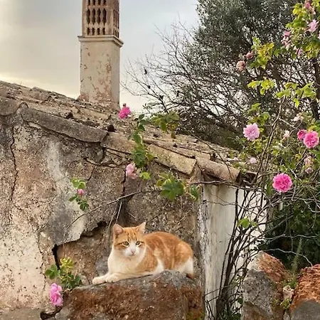 Eco-villa Monte Do Barrocalinho *