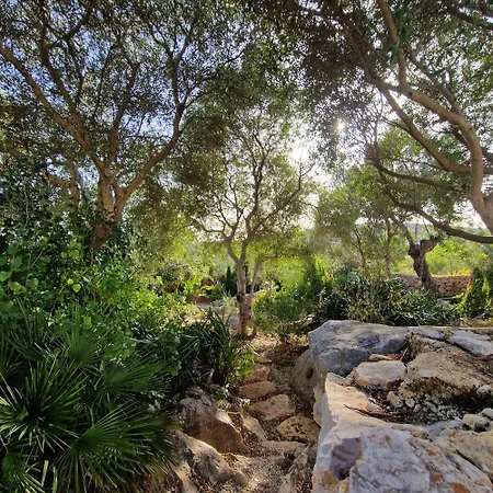 Eco-villa Monte Do Barrocalinho *